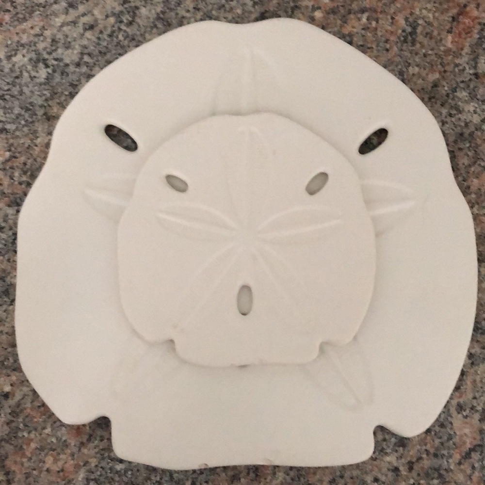 2pc Sand Dollar DECOR - Picture 8 of 8